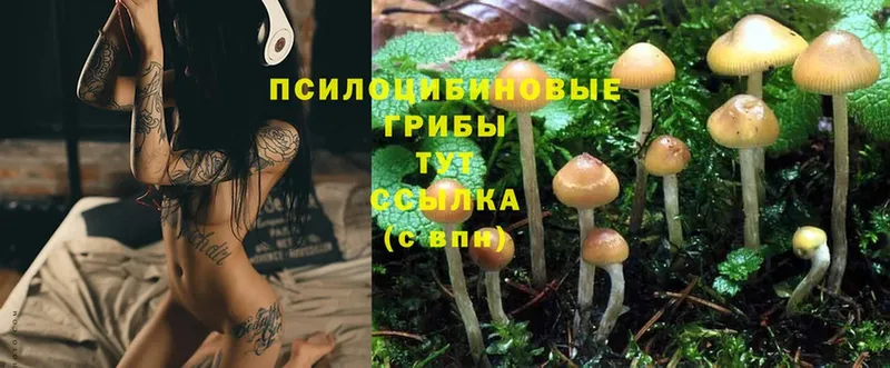 Псилоцибиновые грибы MAGIC MUSHROOMS  Гуково 